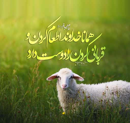 بجای قربانی کردن درخت بکارید (قسمت دوم)