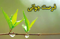 فرصت جوانی