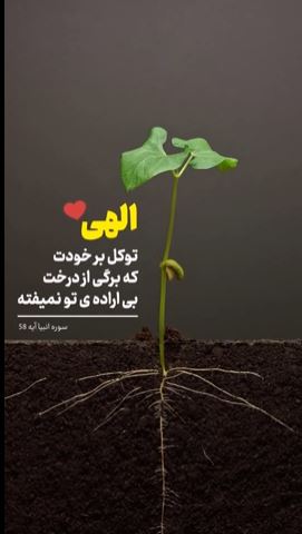 همه چیز به اذن خداست